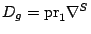 $D_g=\hbox{pr}_1 \nabla^S$