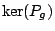 $\ker(P_g)$