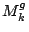 $M_k^g$