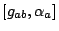 $[g_{ab},\alpha_a]$