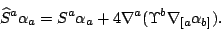 \begin{displaymath}\widehat S^a\alpha_a=S^a\alpha_a
+4\nabla^a(\Upsilon^b\nabla_{[a}\alpha_{b]}).\end{displaymath}