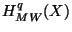 $ H_{MW}^q(X)$
