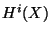 $ H^i(X)$