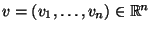 $ v=(v_1,\dots,v_n) \in \mathbb{R}^n$
