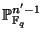 $ \mathbb{P}^{n'-1}_{\mathbb{F}_q}$
