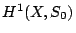$ H^1(X,S_0)$