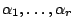$ \alpha_1,\dots,\alpha_r$