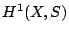 $ H^1(X,S)$