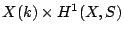 $\displaystyle X(k) \times H^1(X,S)$