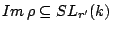 $ Im\,\rho\subseteq SL_{r'}(k)$