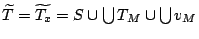 $ \widetilde{T}=\widetilde{T_x}=S \cup \bigcup T_M \cup \bigcup {v_M}$