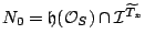 $ N_0=\mathfrak{h}(\mathcal{O}_S) \cap \mathcal{I}^{\widetilde{T_x}}$
