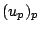 $(u_p)_p$
