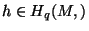 $h\in H_q(M,\R)$