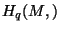 $H_q(M,\R)$