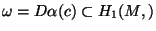 $\omega=D\alpha(c)\subset H_1(M,\R)$