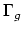 $ \Gamma_g$