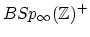 $ BSp_\infty(\mathbb{Z})^+$