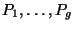 $ P_1,\ldots,P_g$