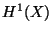 $ H^1(X)$
