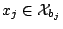 $ x_j \in \mathcal{X}_{b_j}$