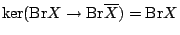 $ \ker({\mathrm{Br}}X \to {\mathrm{Br}}\overline{X})={\mathrm{Br}}X$