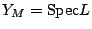 $ Y_M={\mathrm{Spec}}L$
